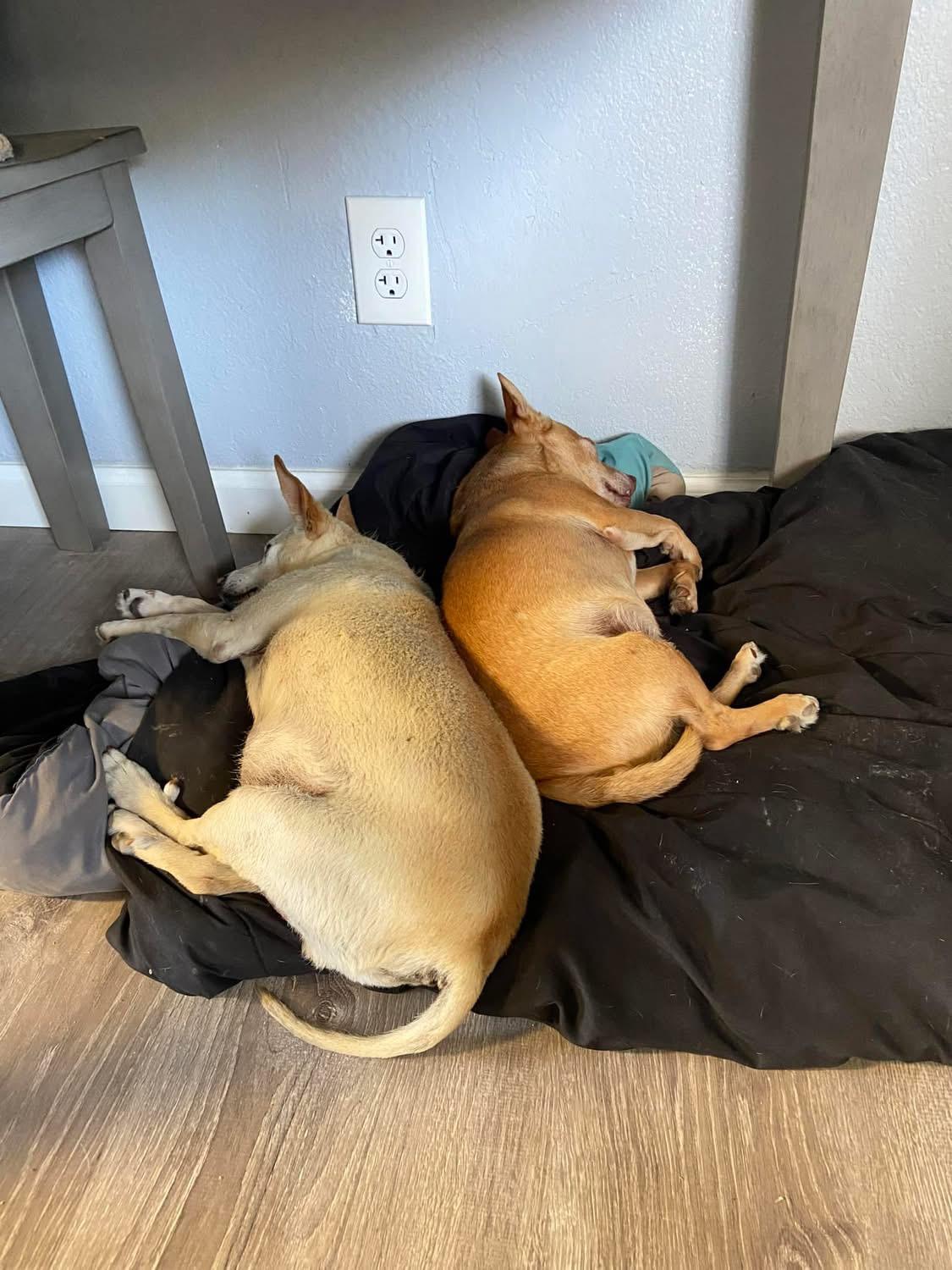 Boomer and Connor