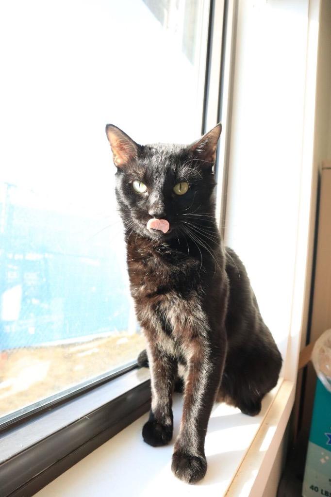 Valentine — thumbnail 2