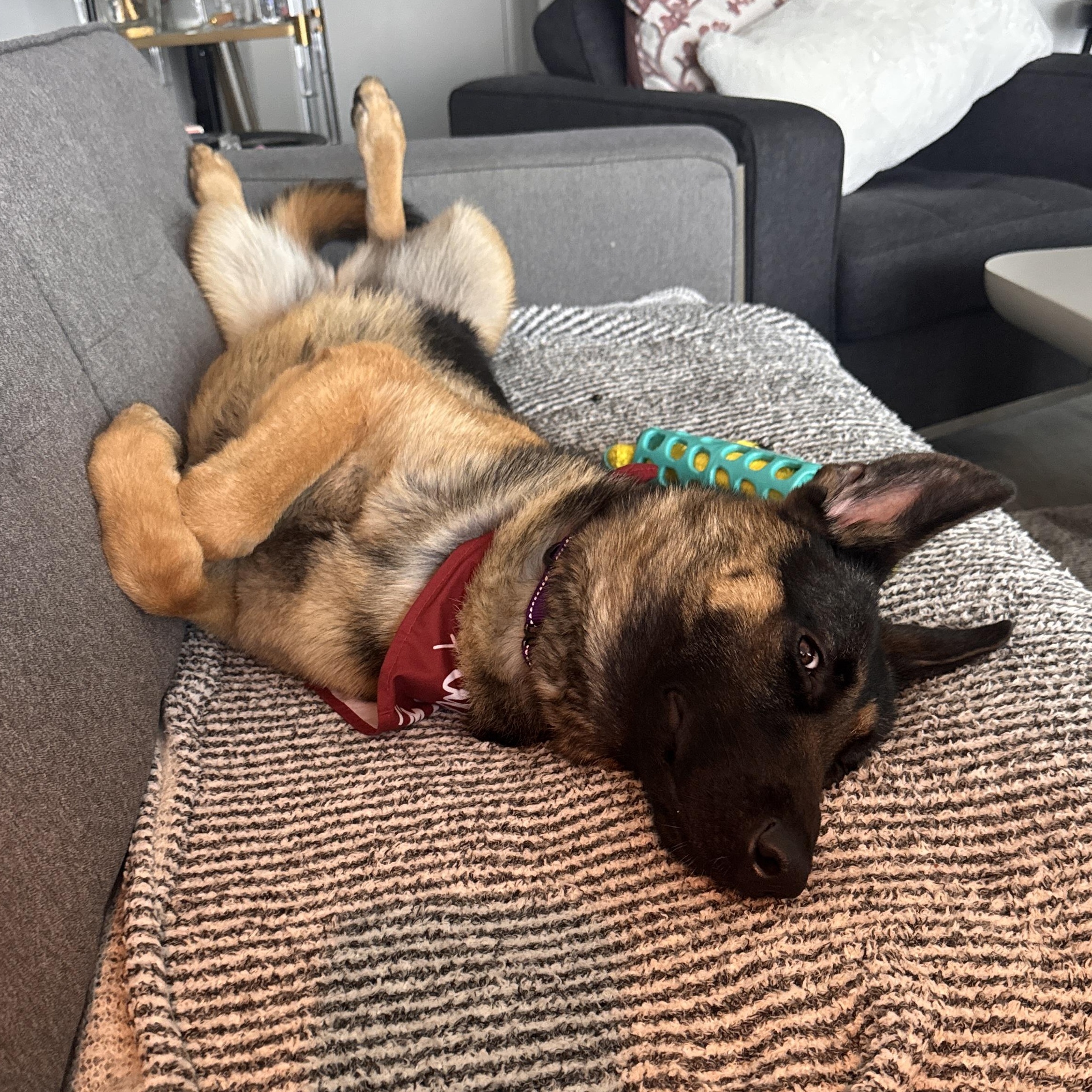 Anya