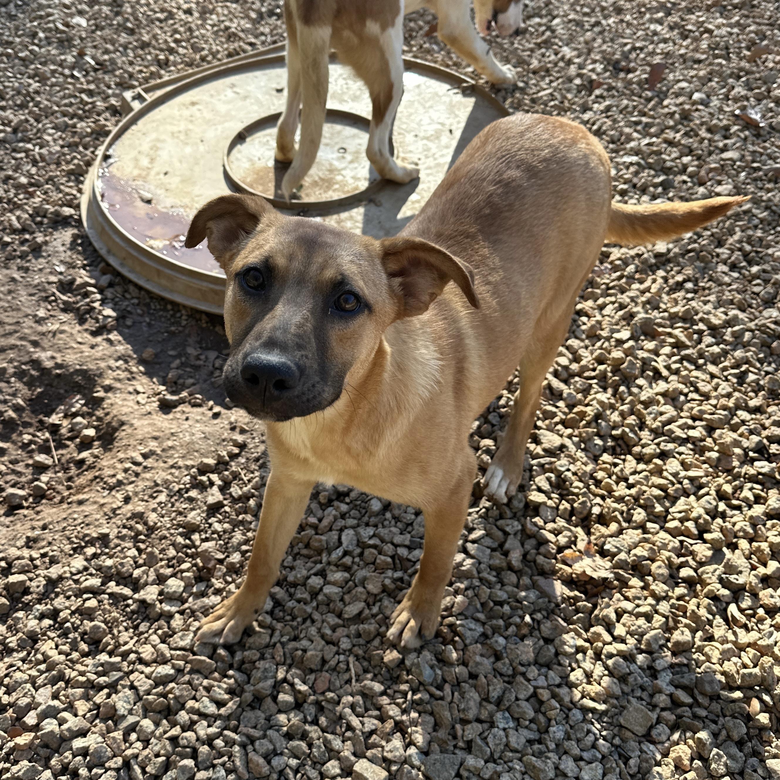 Esmeralda — thumbnail 6