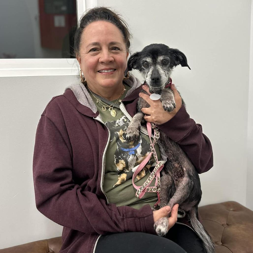 Chickpea — thumbnail 3