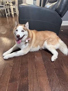 Zuna & Sassy - NJ/PA