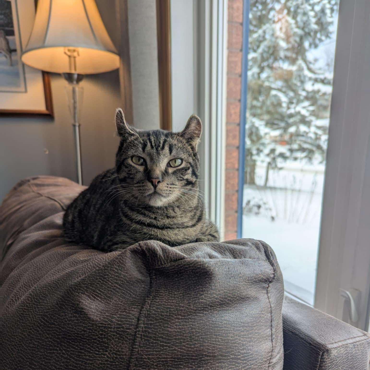 Duncan