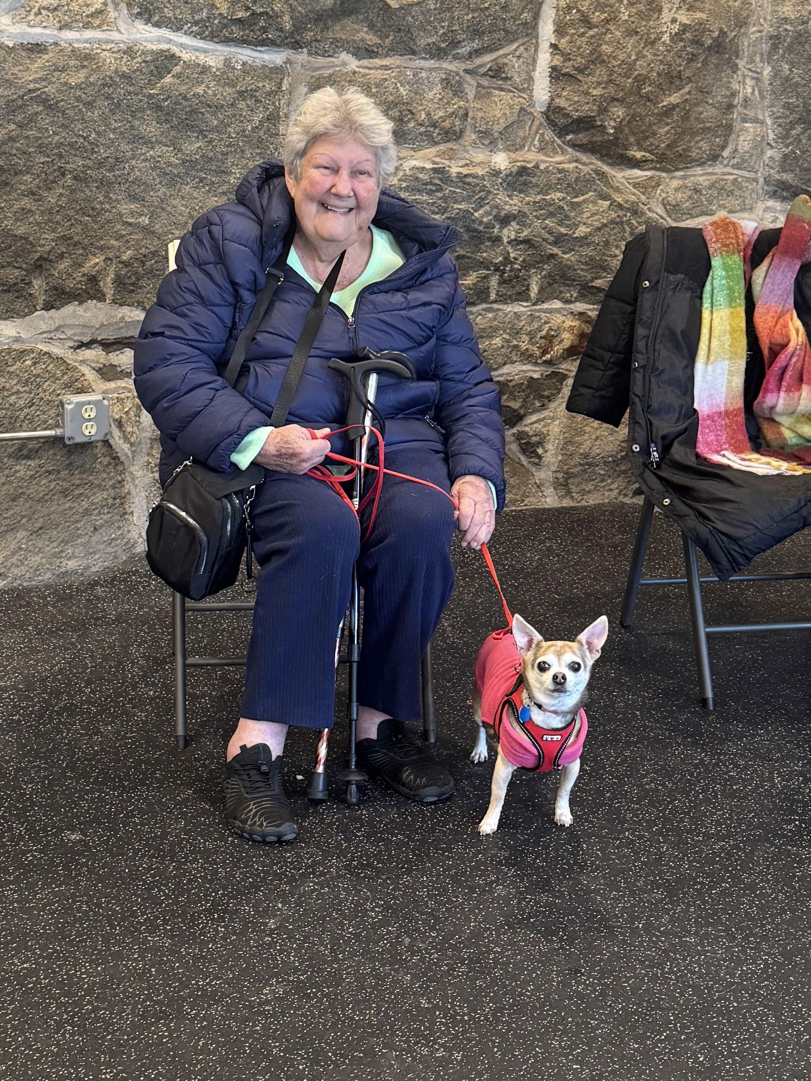 Enlarge Khloe TX, a Adopted Chihuahua in Boonton, NJ image 2/3