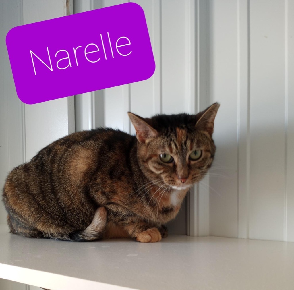 Narelle photo 5