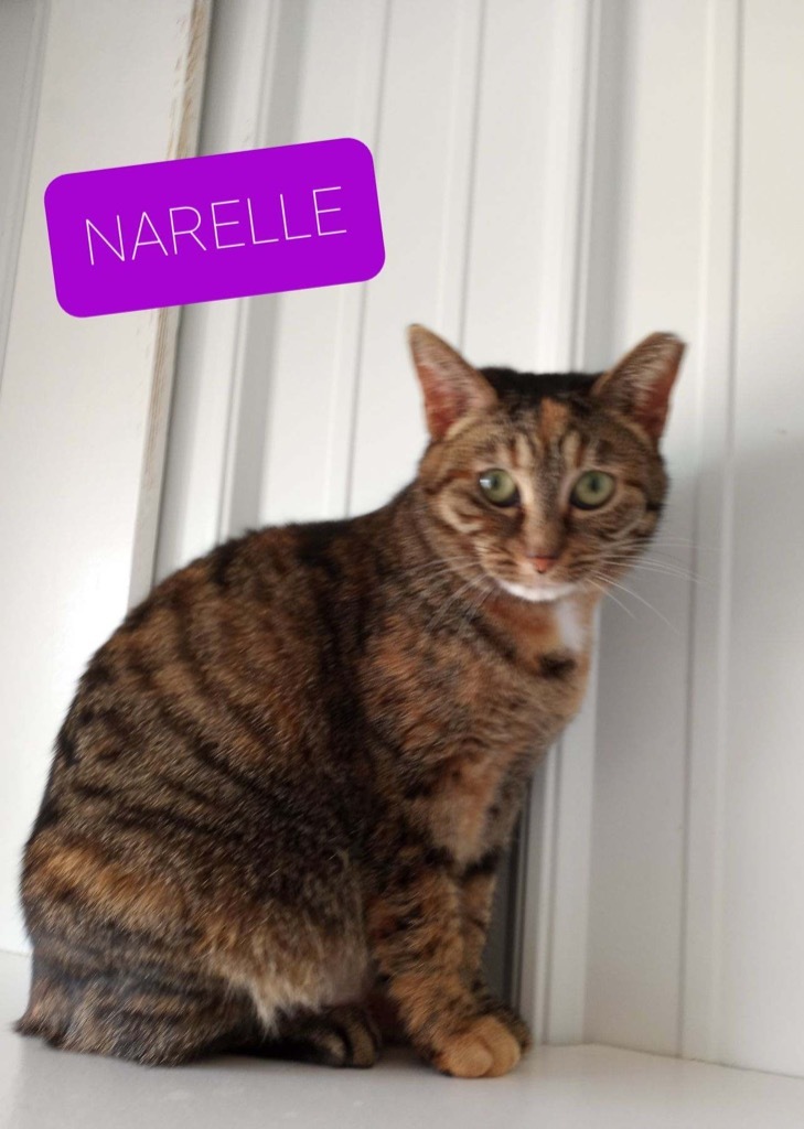 Narelle photo 3