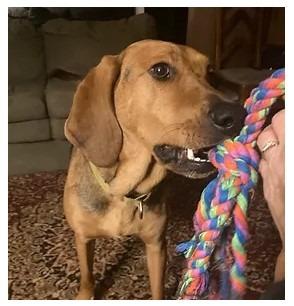 Carlie-In a Foster Home