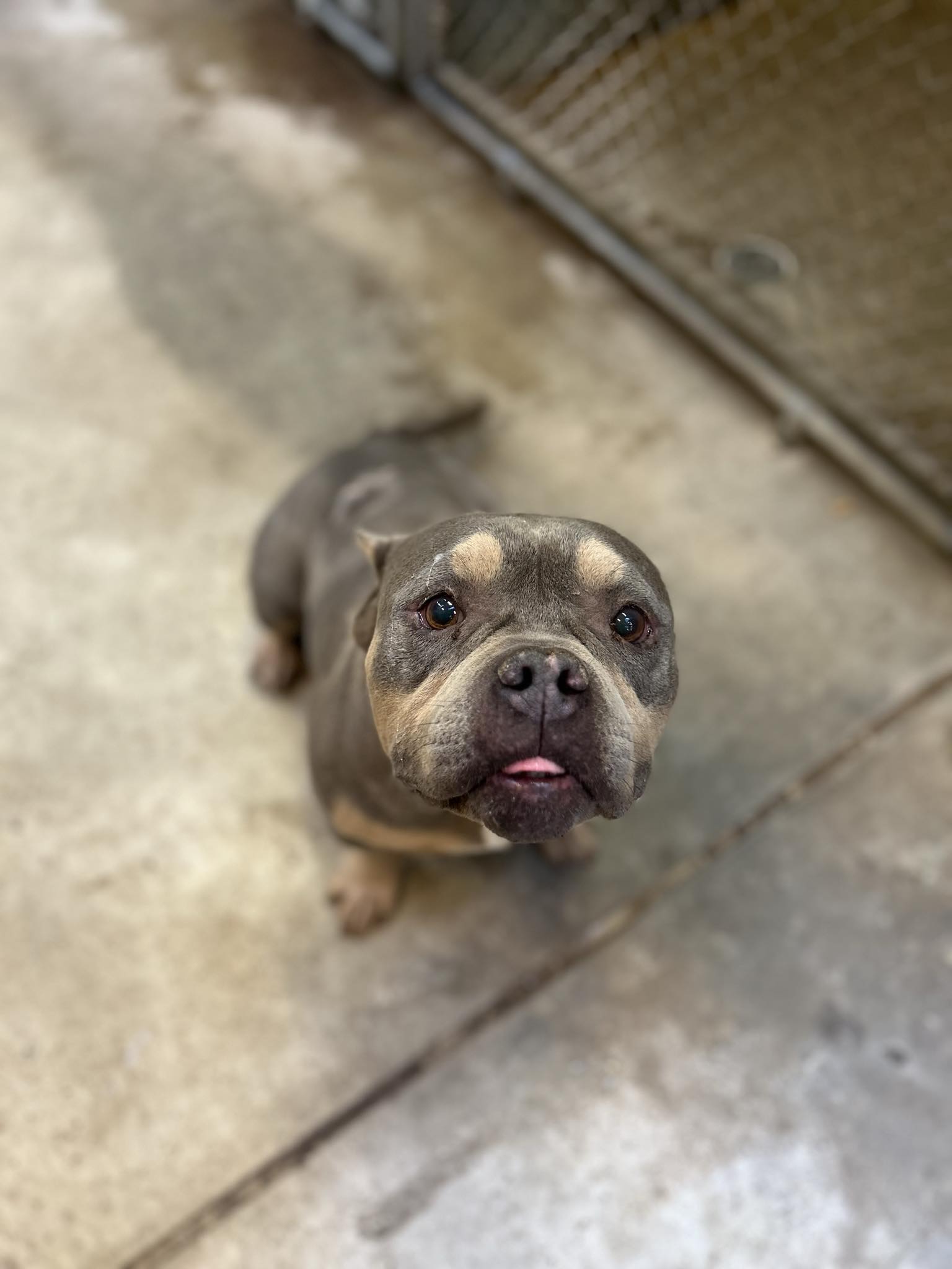 Missy