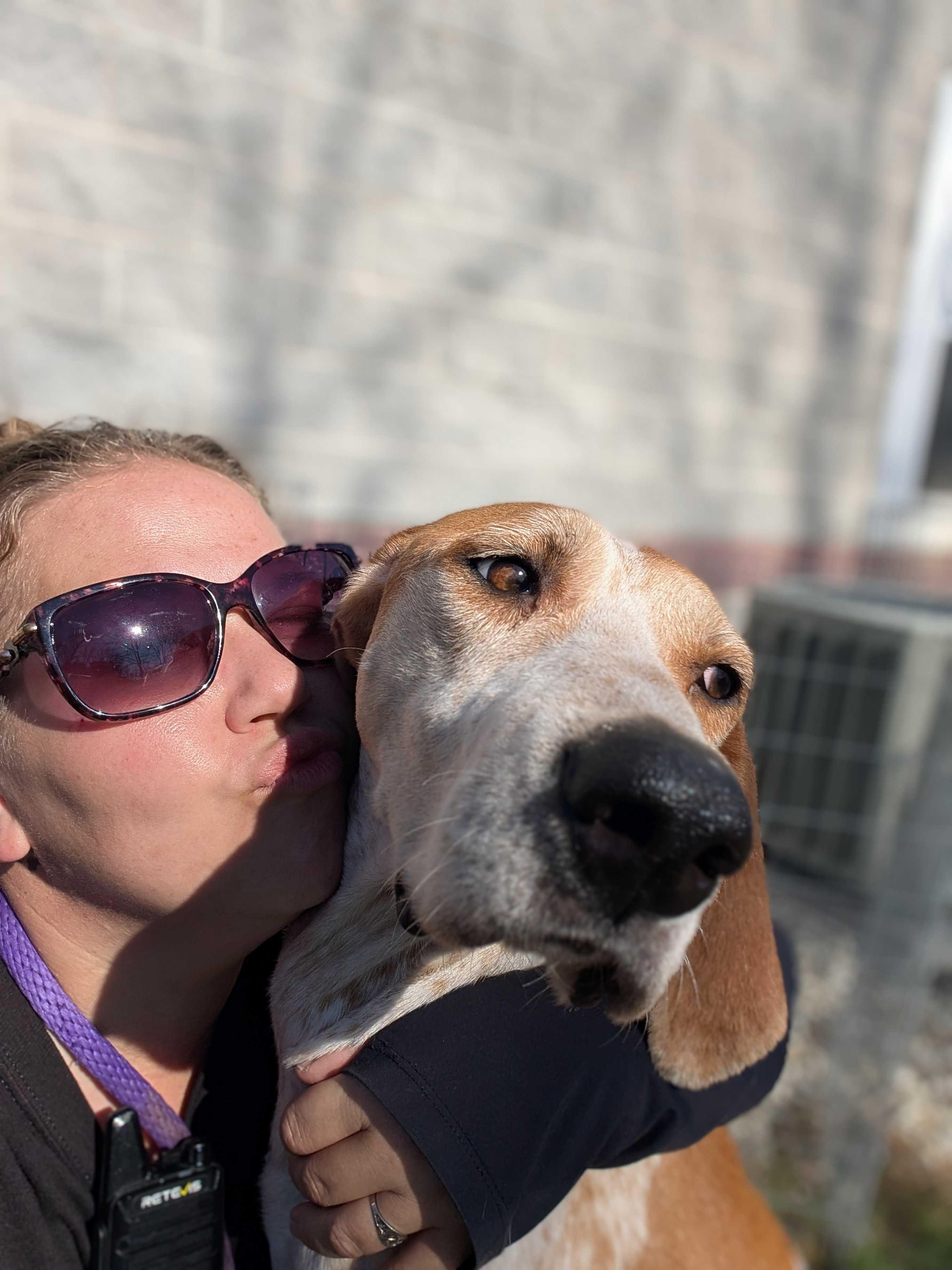 Soup, a Adoptable mixed breed in Lafayette, NJ image 3/6