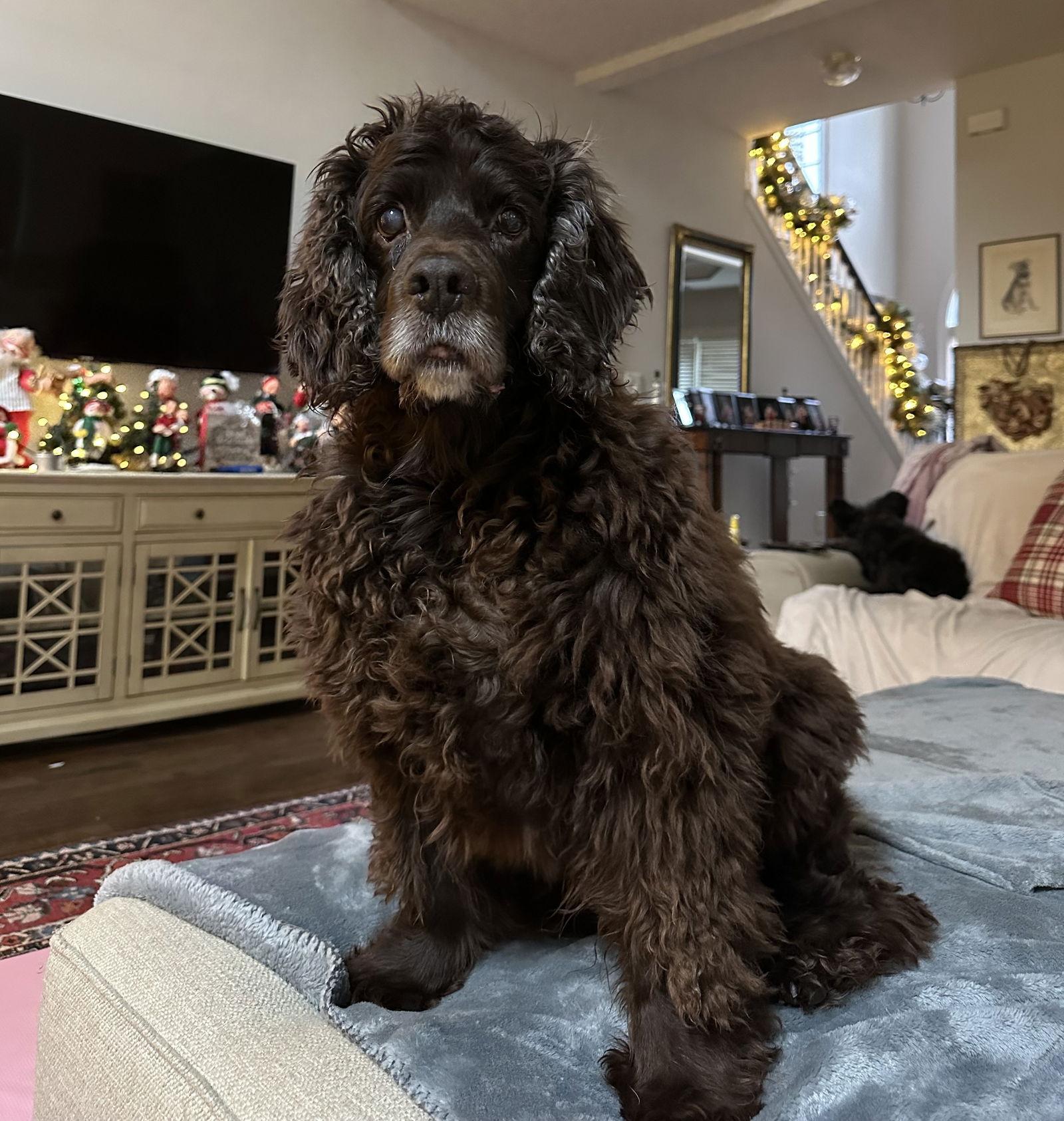 Fabio Darling — thumbnail 2