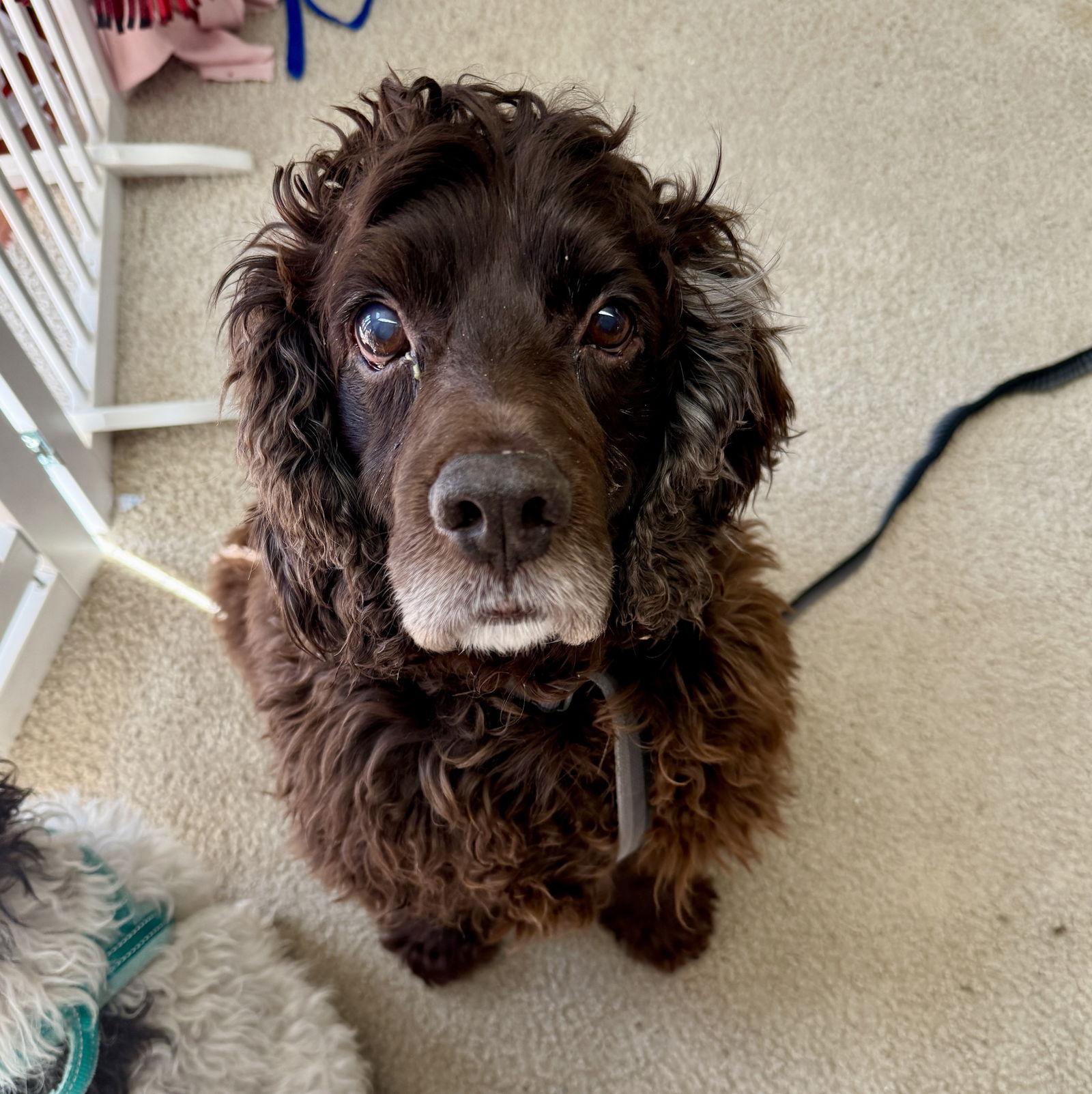 Fabio Darling — thumbnail 3