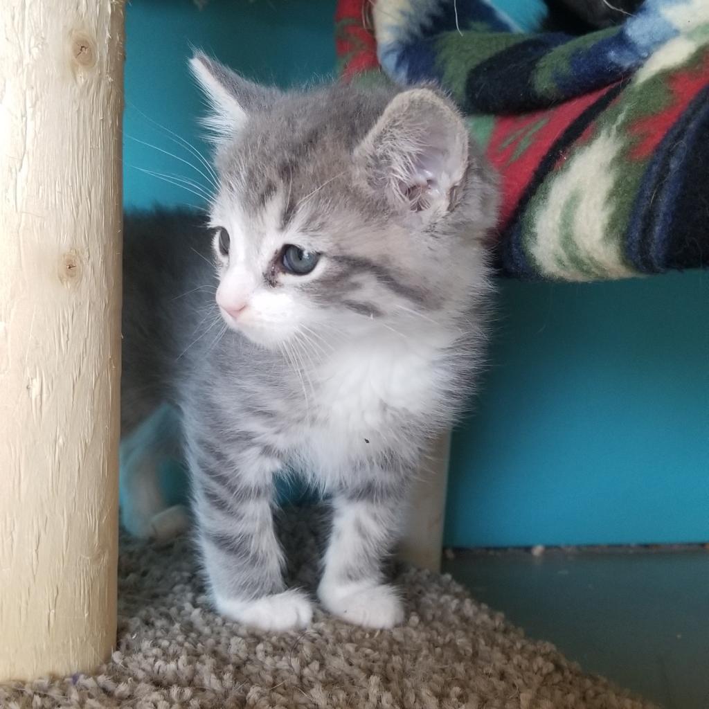 Lucy — thumbnail 3