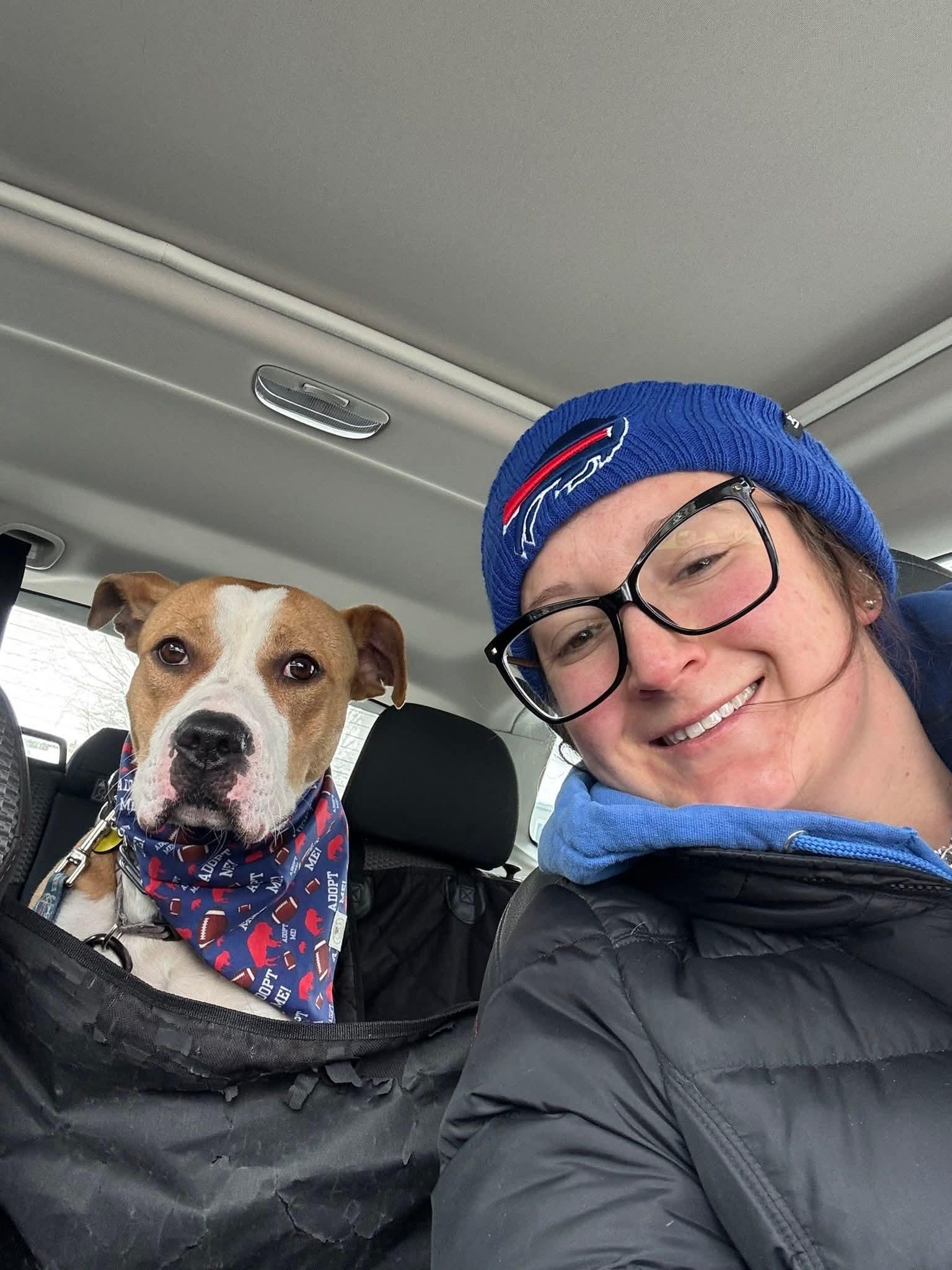 Enlarge Cody, an adopted mixed breed in Buffalo, NY image 6/6