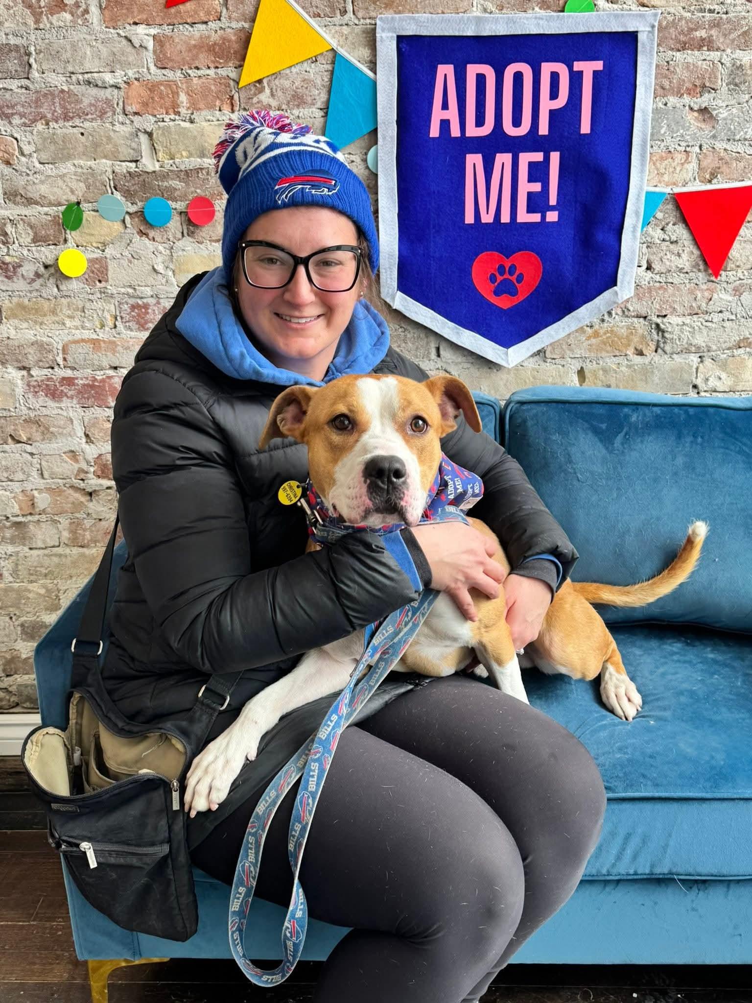 Enlarge Cody, an adopted mixed breed in Buffalo, NY image 3/6