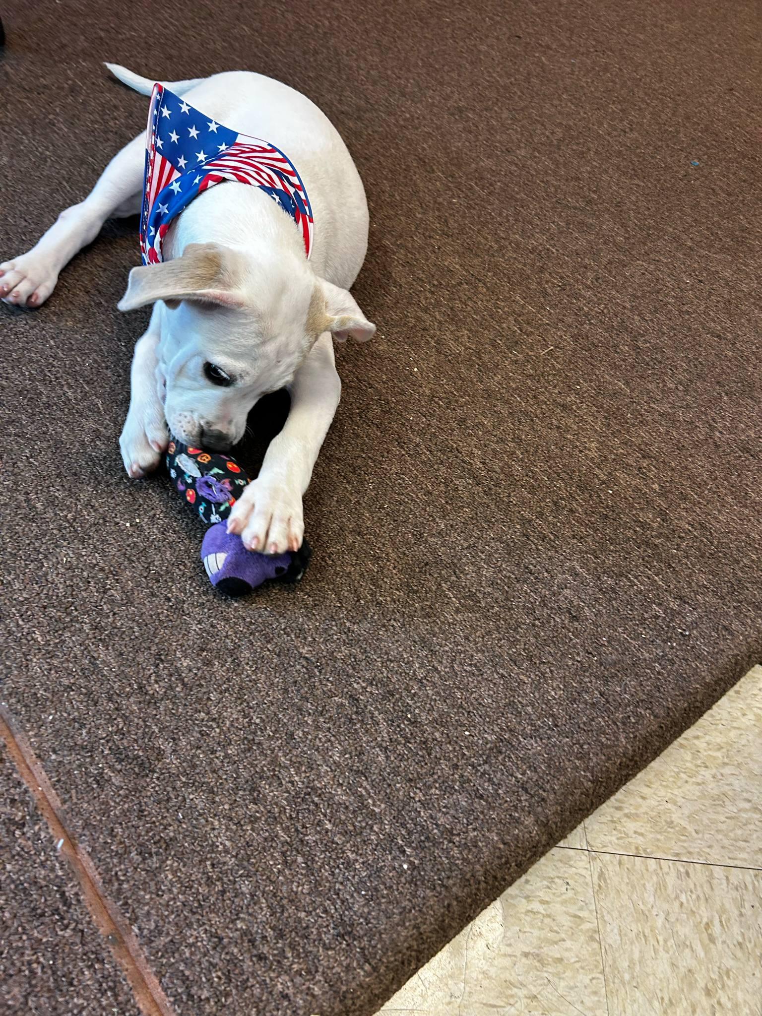 Lenny