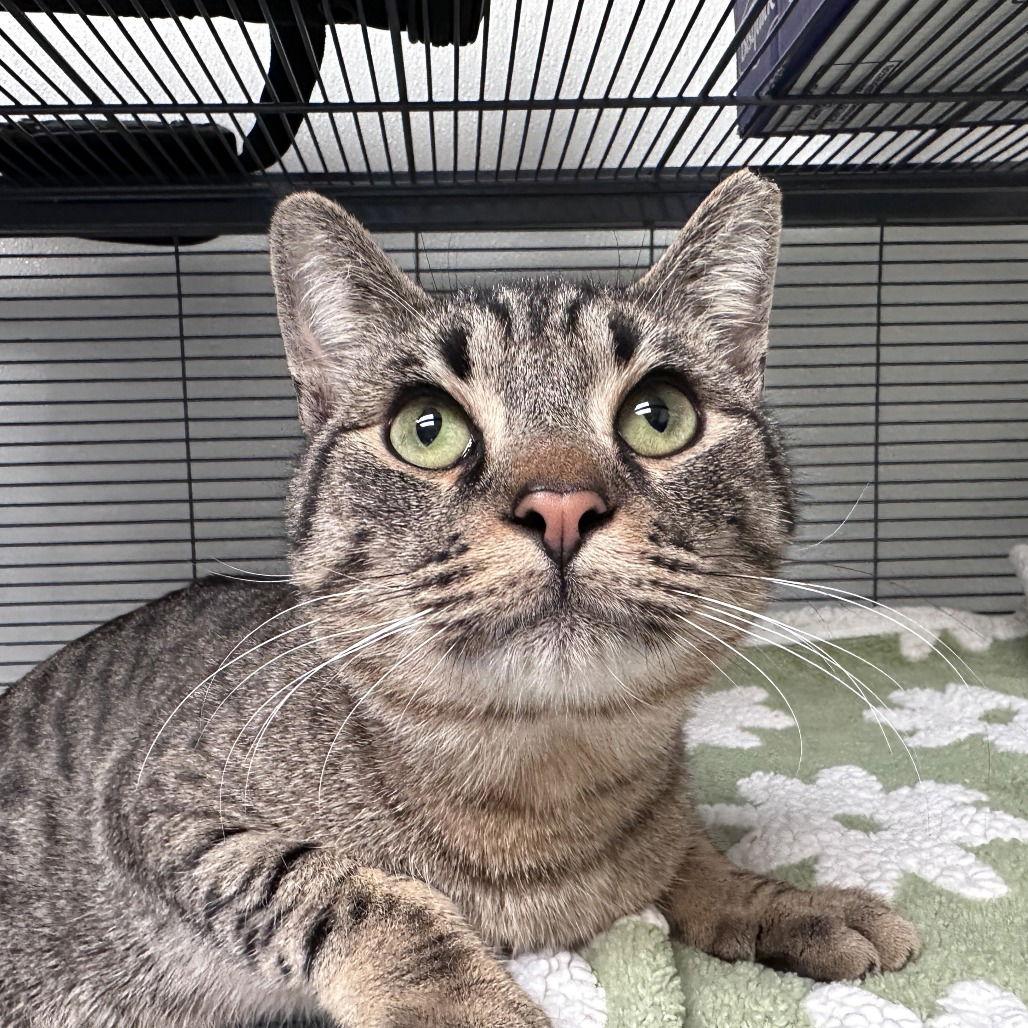 Leonard — thumbnail 2