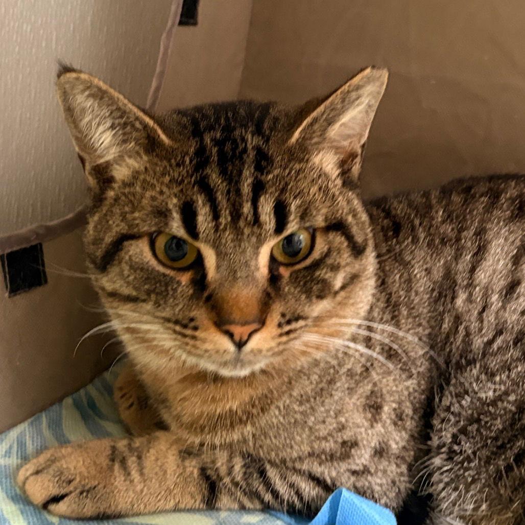 Leonard — thumbnail 3