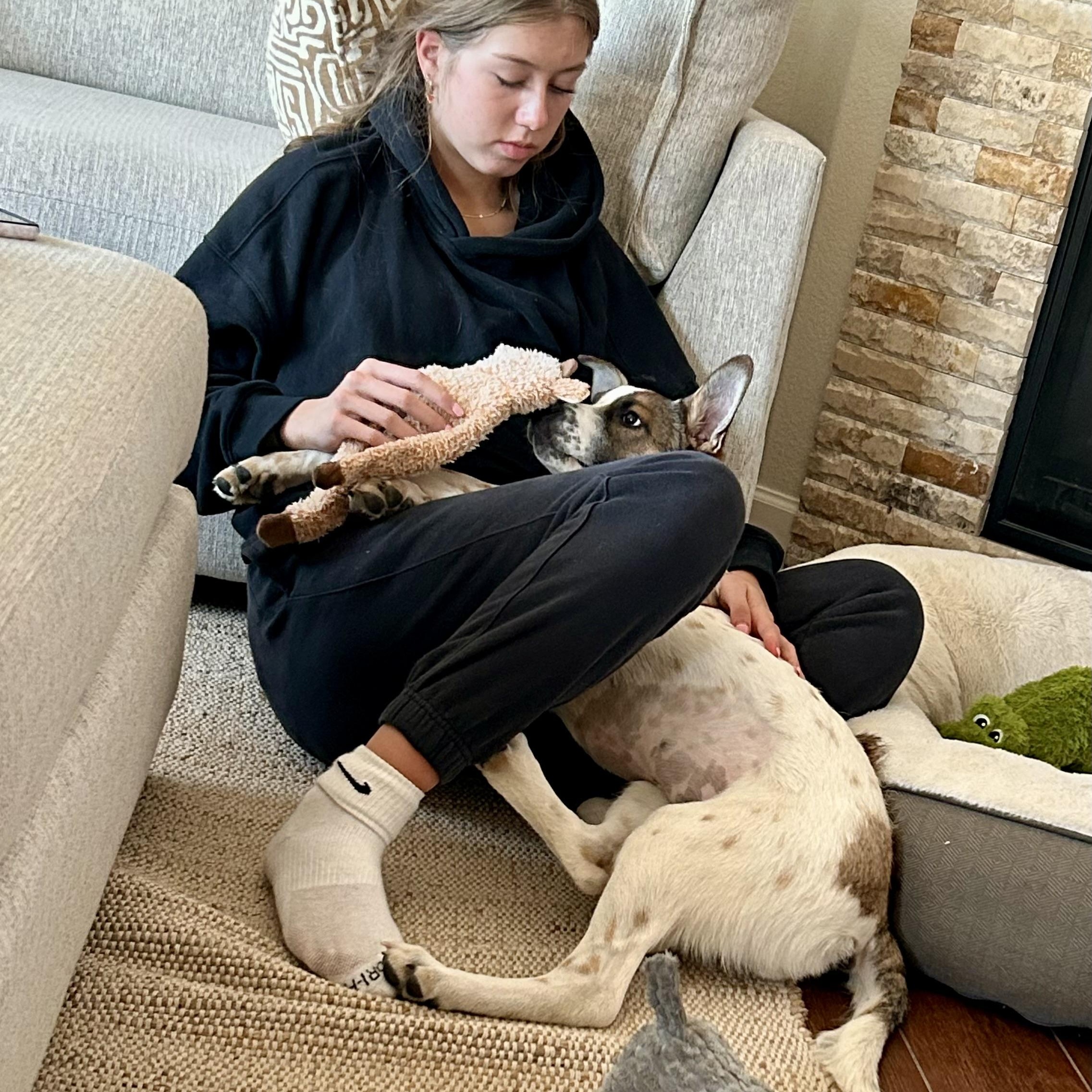 Enlarge Wichita “Quincy”, a ADOPTABLE mixed breed in Colorado Springs, CO image 4/5