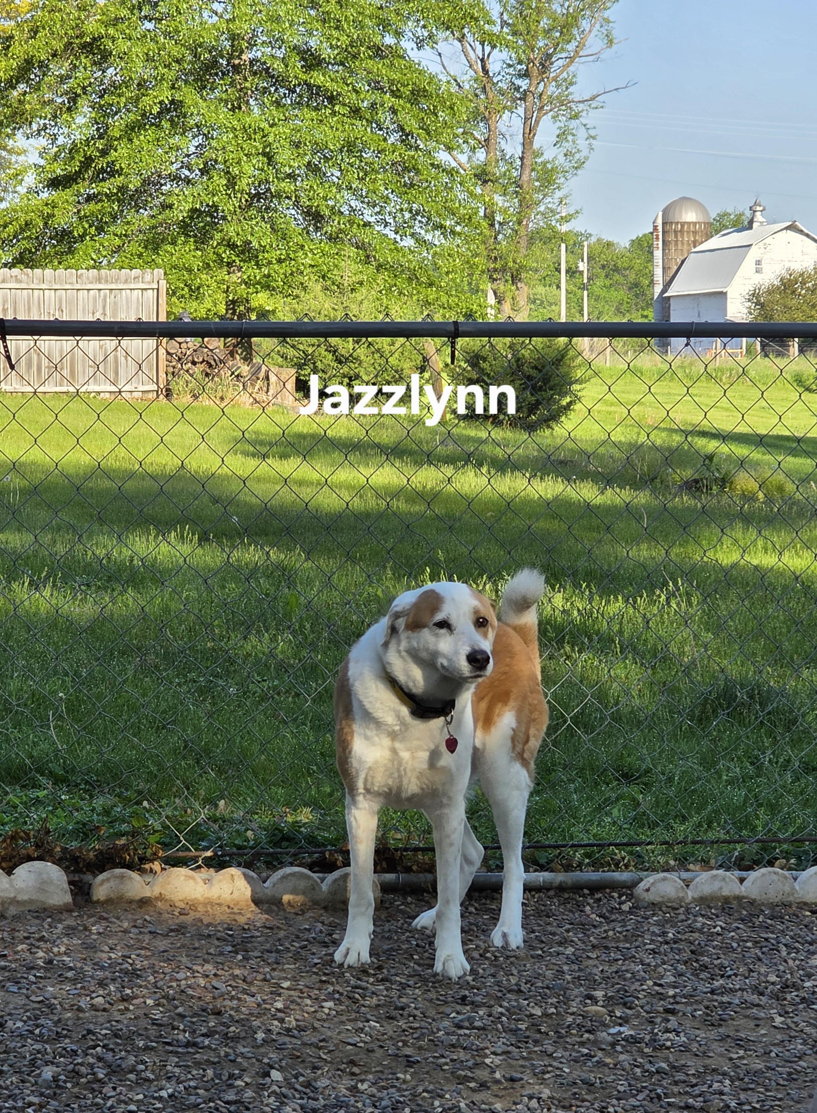Jazzlynn photo 4