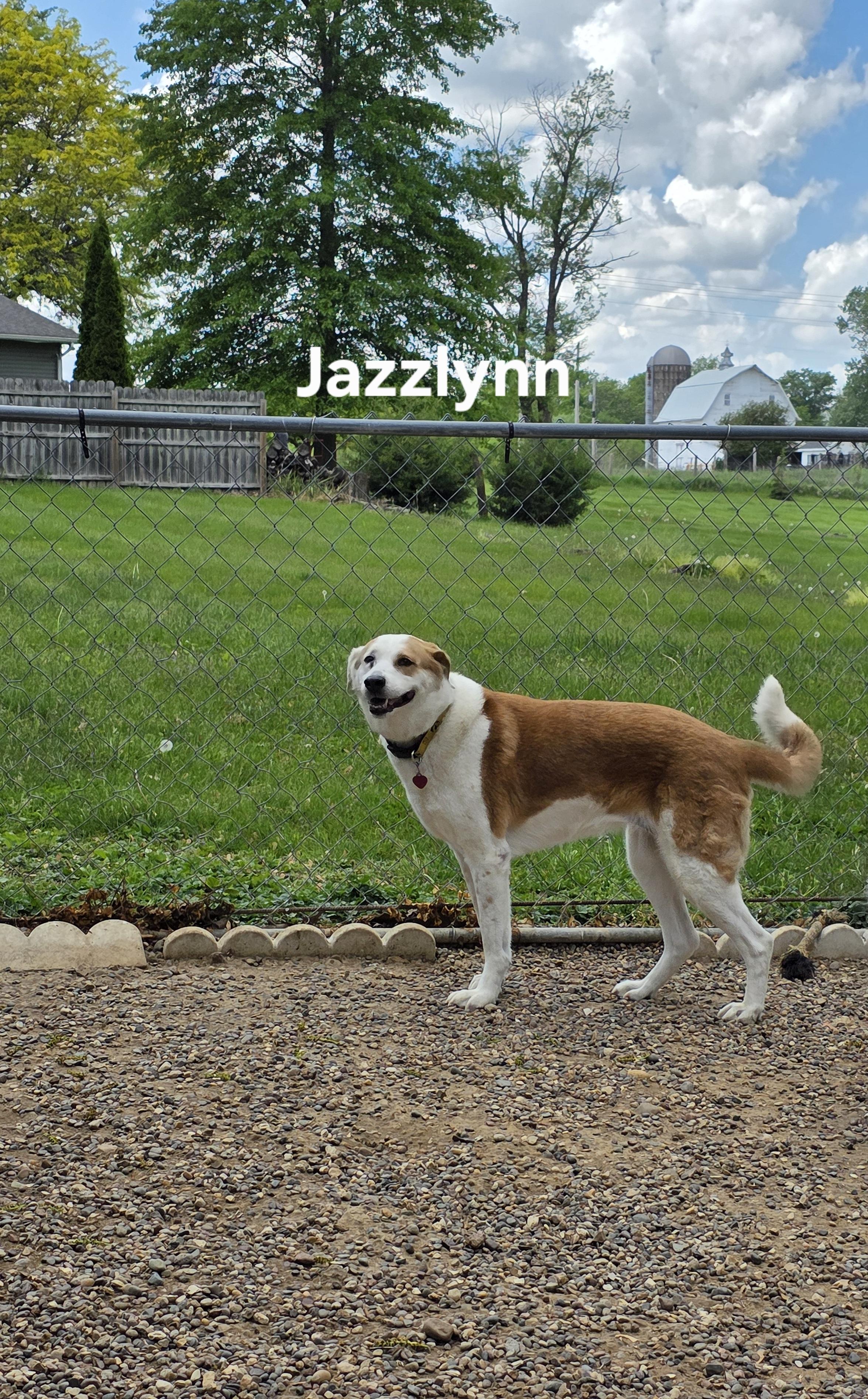 Jazzlynn photo 5
