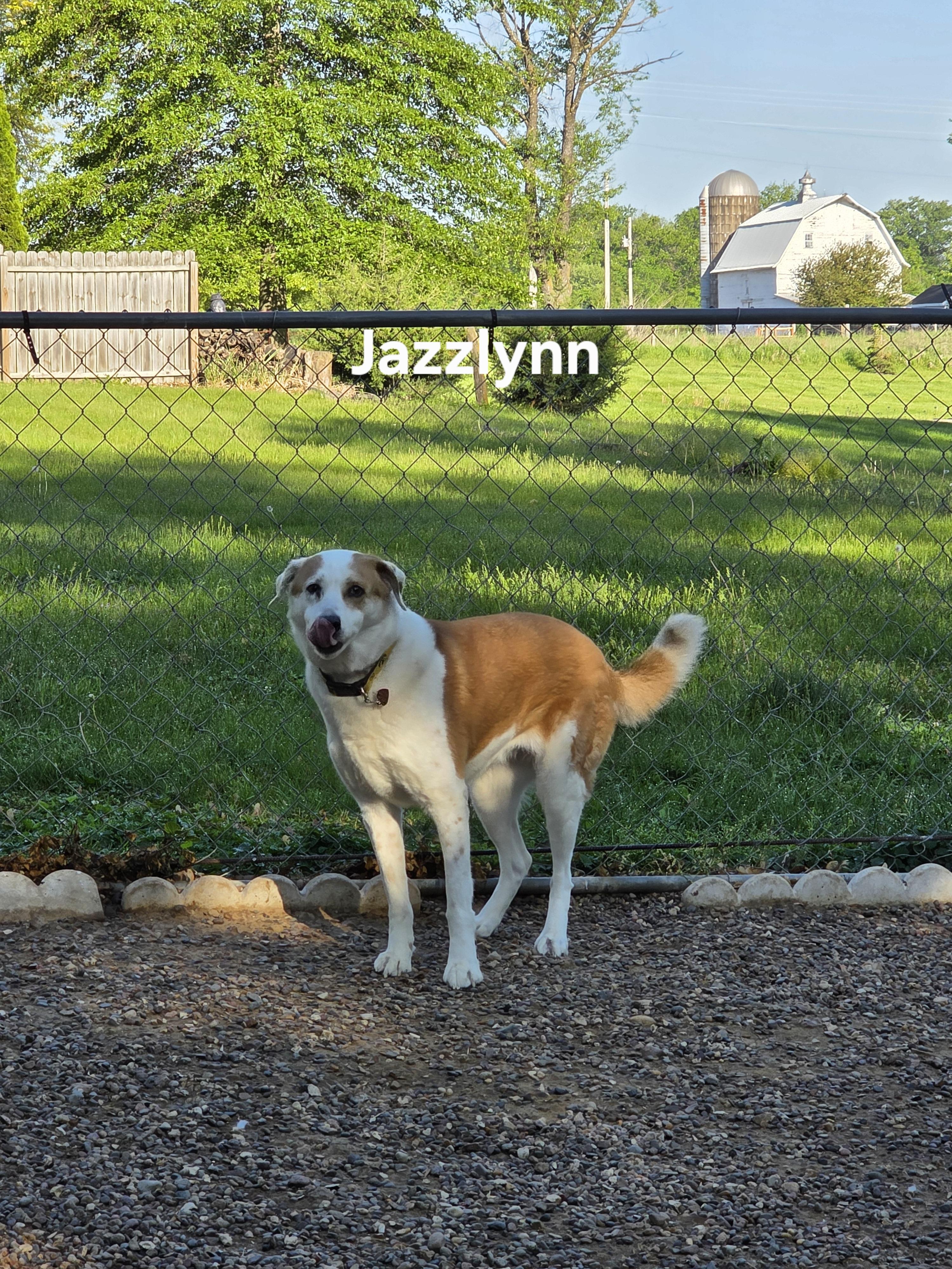 Jazzlynn