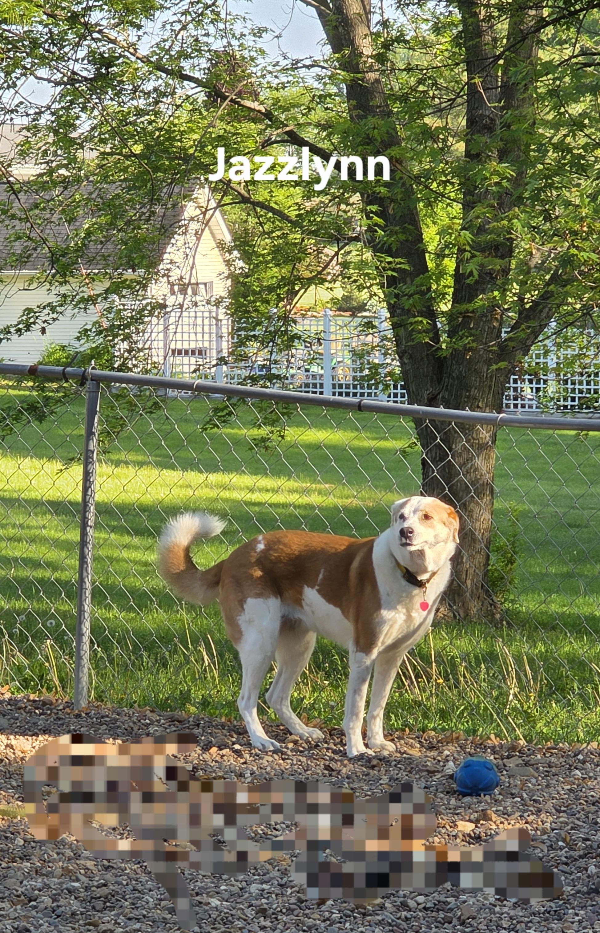 Jazzlynn photo 3