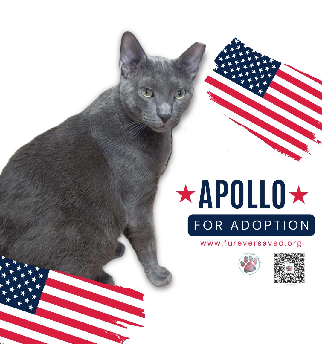 Apollo