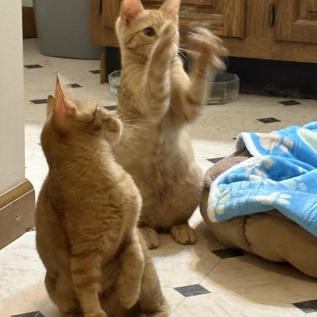 Ginny & Ron — thumbnail 3