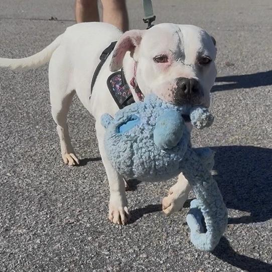 Caitlyn — thumbnail 3