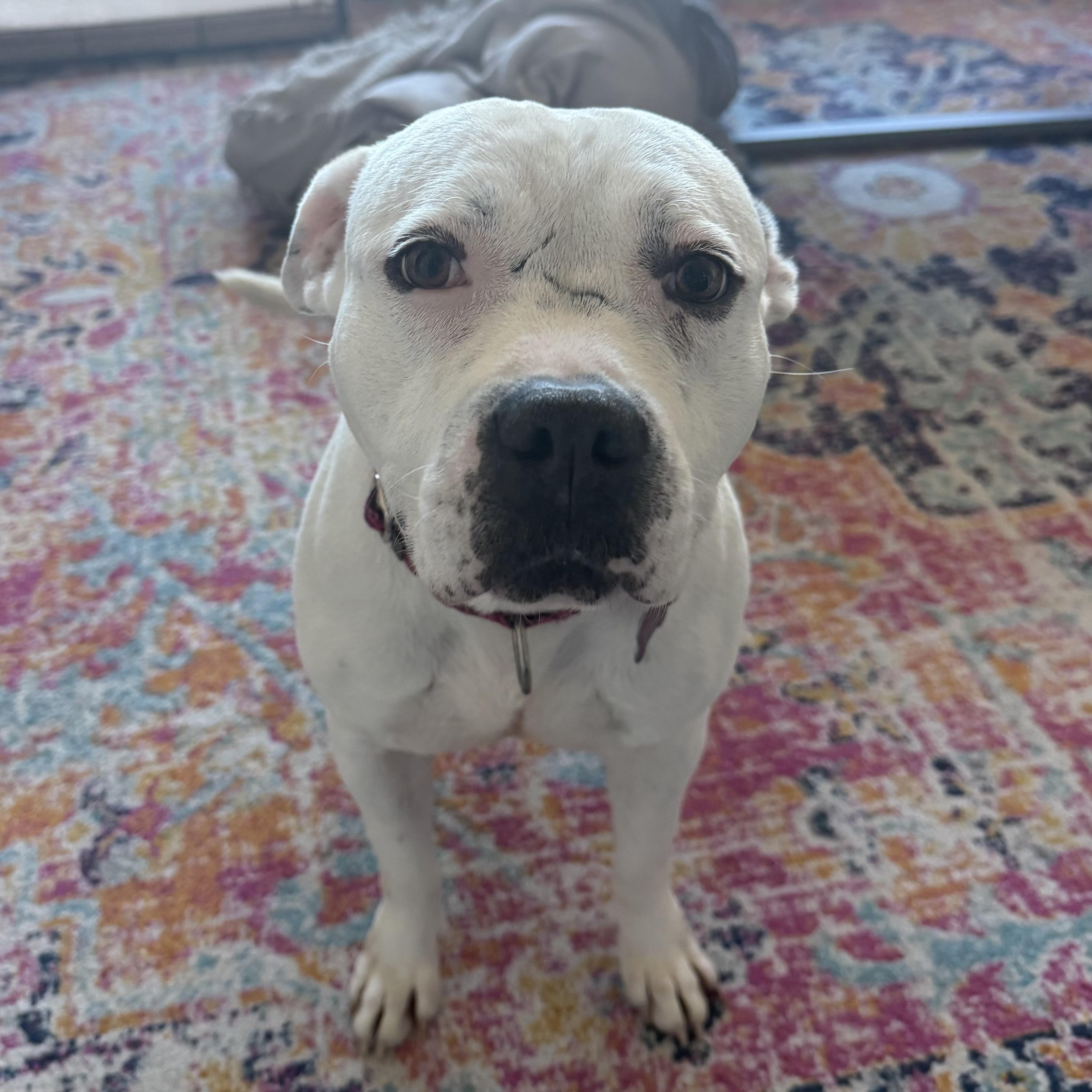 Caitlyn — thumbnail 5