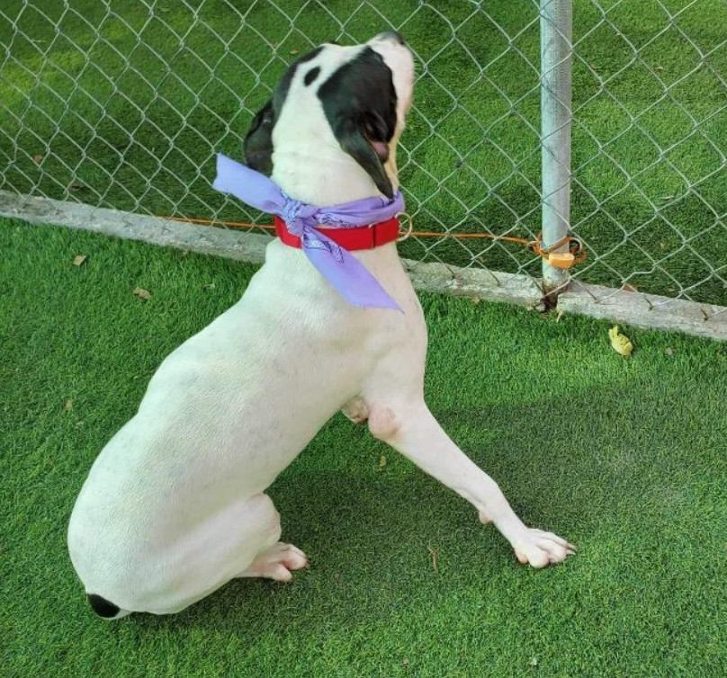 Baylin — thumbnail 3