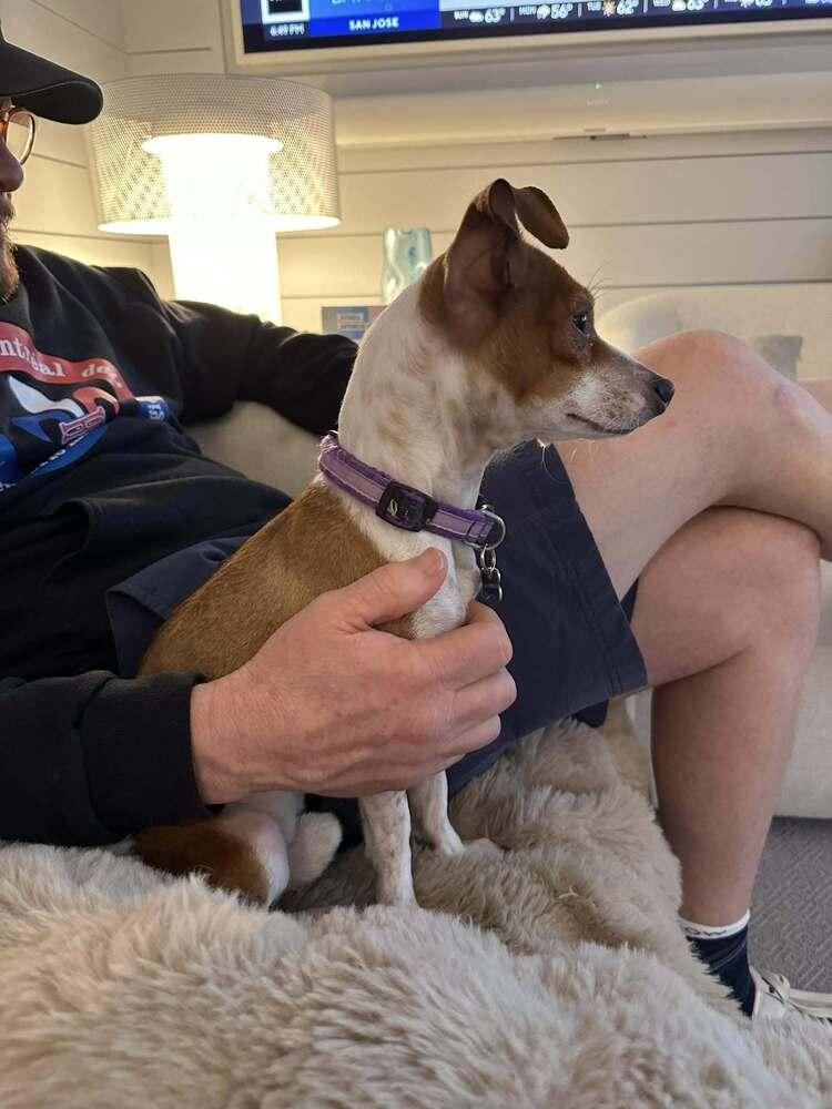 Joey — thumbnail 4