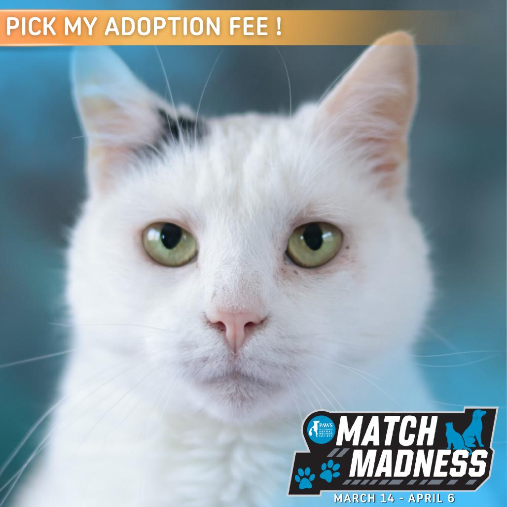 Hannah — thumbnail 4