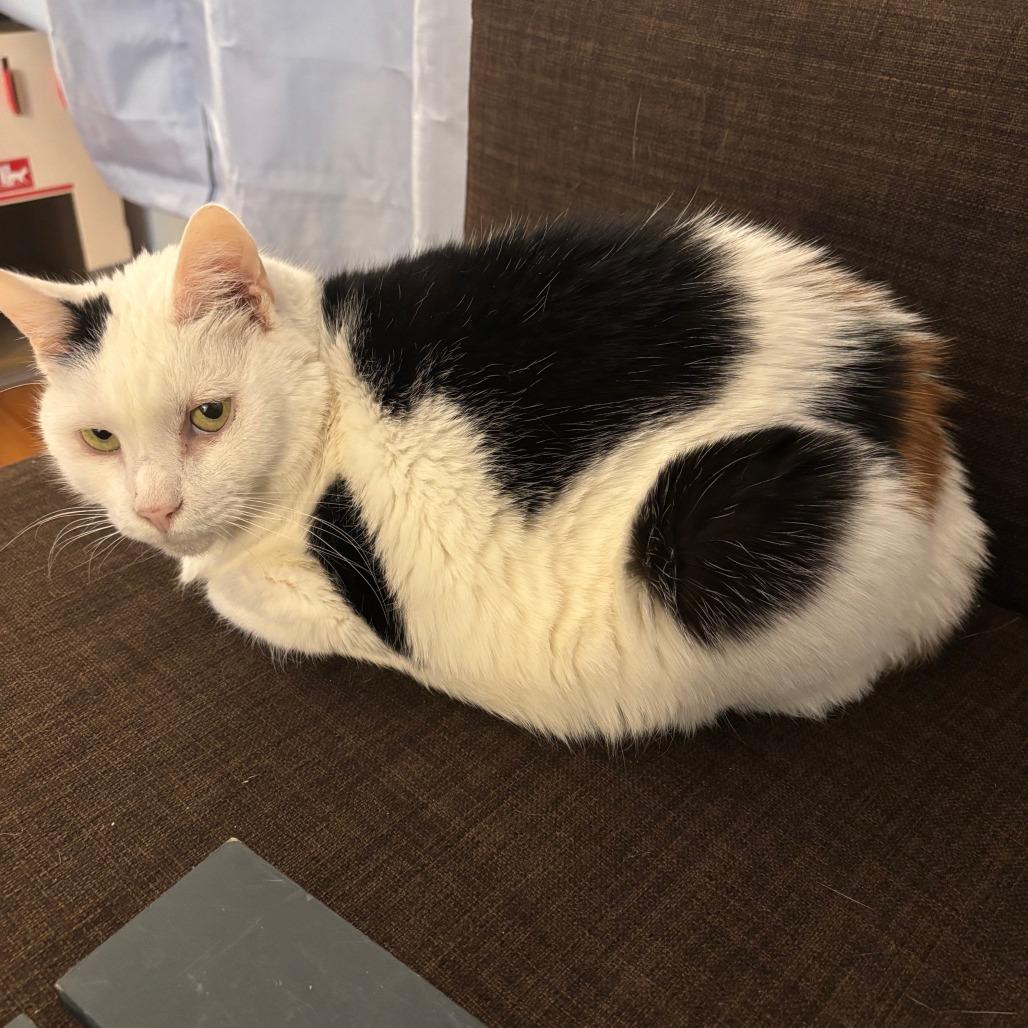 Hannah — thumbnail 5