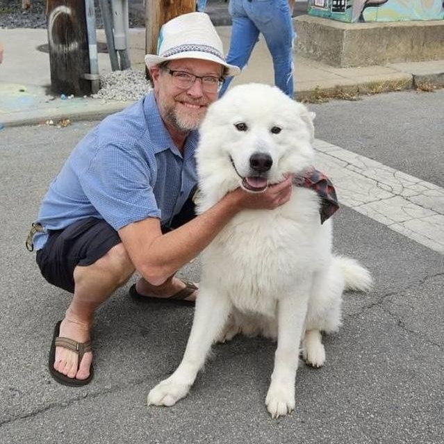 Wallie - Sweet & Adorable, Adoptable, Adult Male Great Pyrenees.