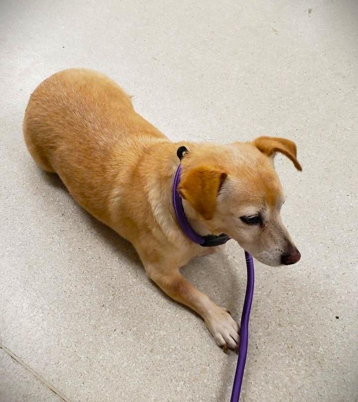 Bella — thumbnail 4