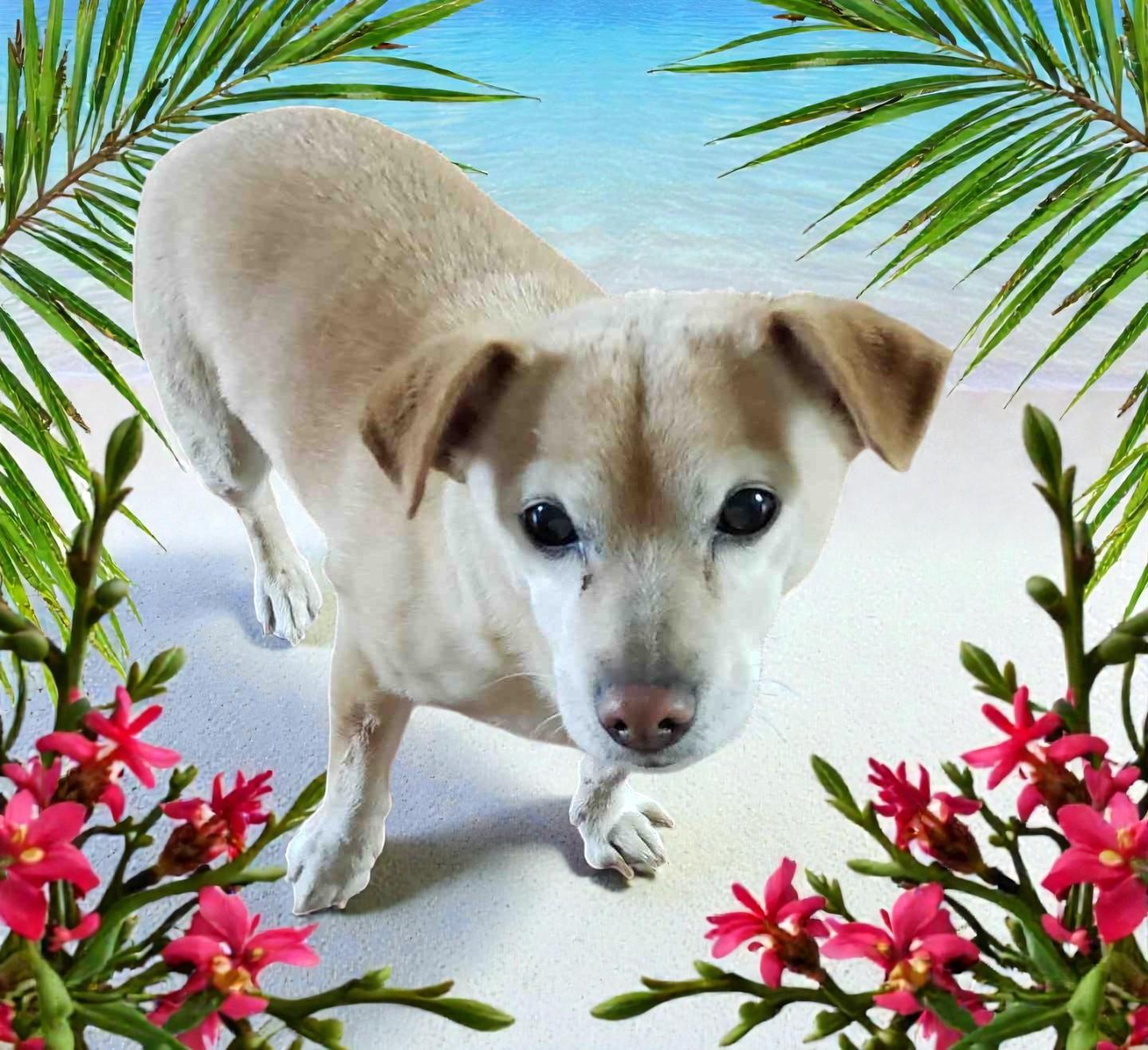 Bella — thumbnail 5