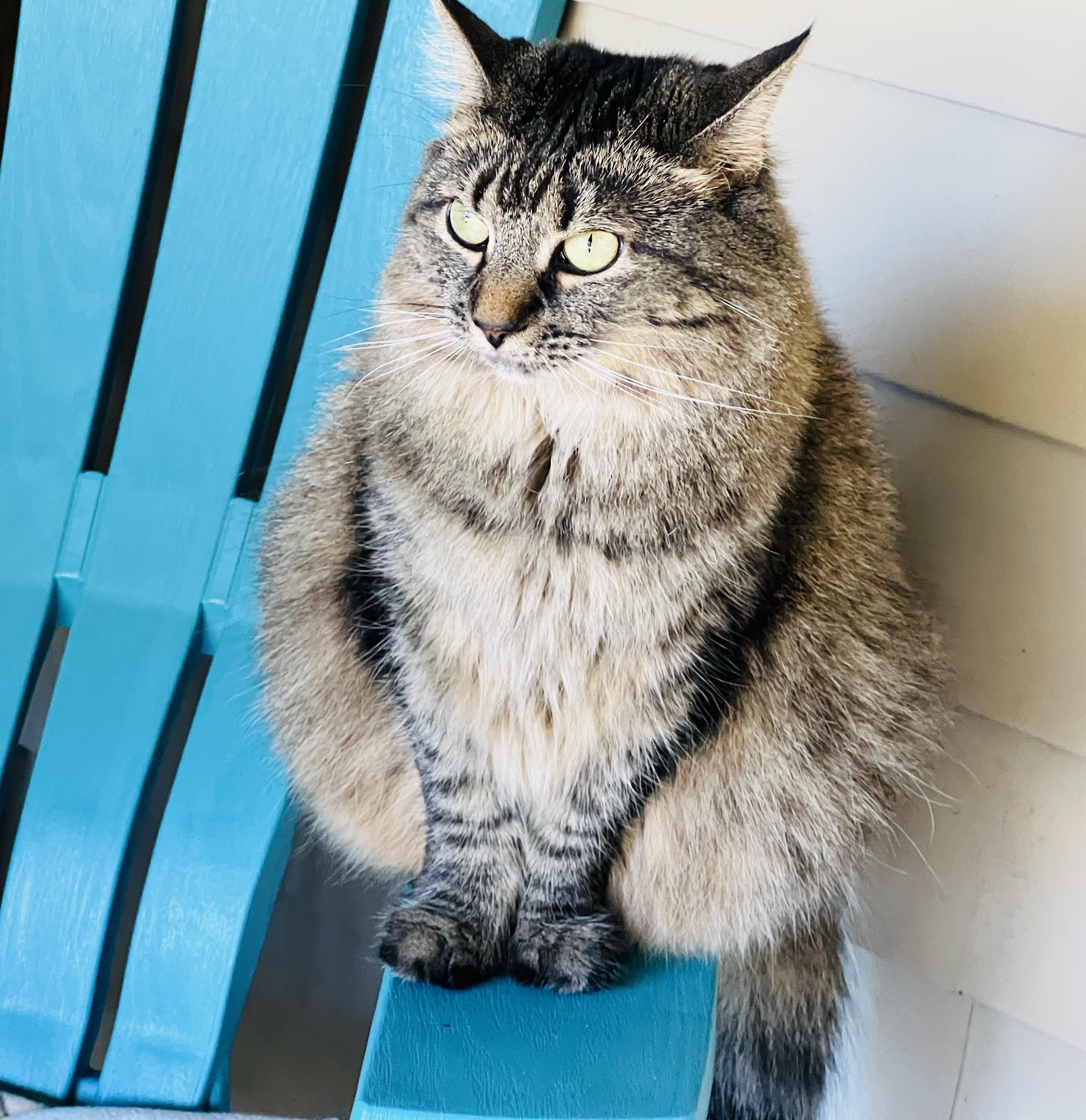 Laverne — thumbnail 5