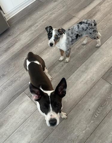 Cecilia!! You're Breakin' My thumbnail 2