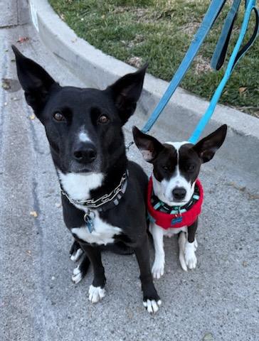 Cecilia!! You're Breakin' My thumbnail 3