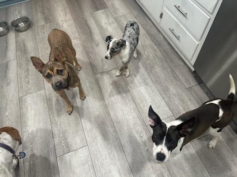 Cecilia!! You're Breakin' My thumbnail 4