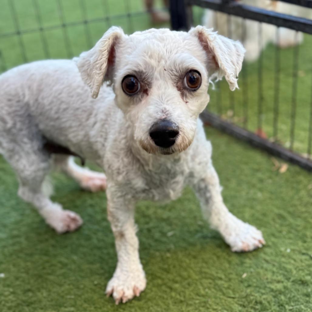 Molly — thumbnail 2