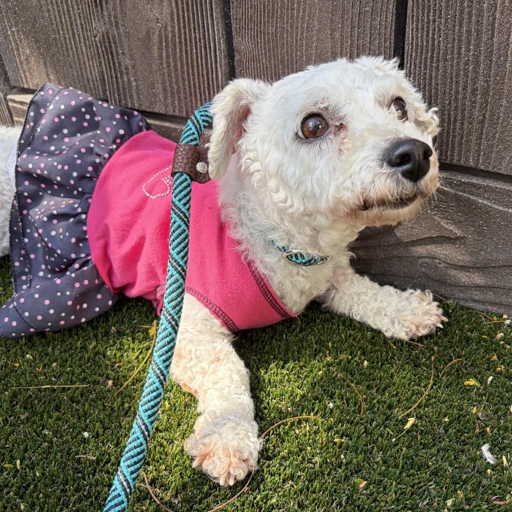 Molly — thumbnail 5