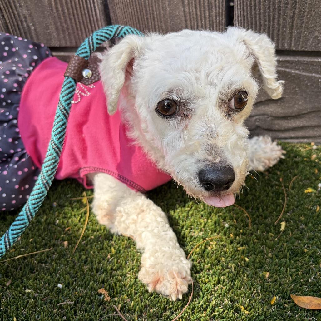 Molly — thumbnail 6