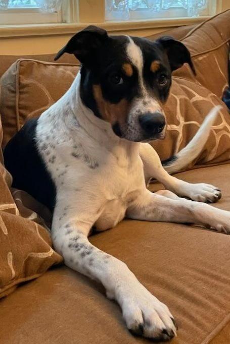 Princess Sadie photo 6
