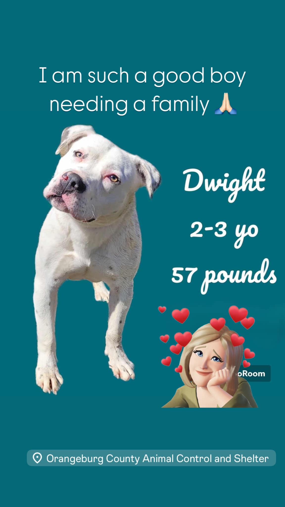 Dwight photo 1