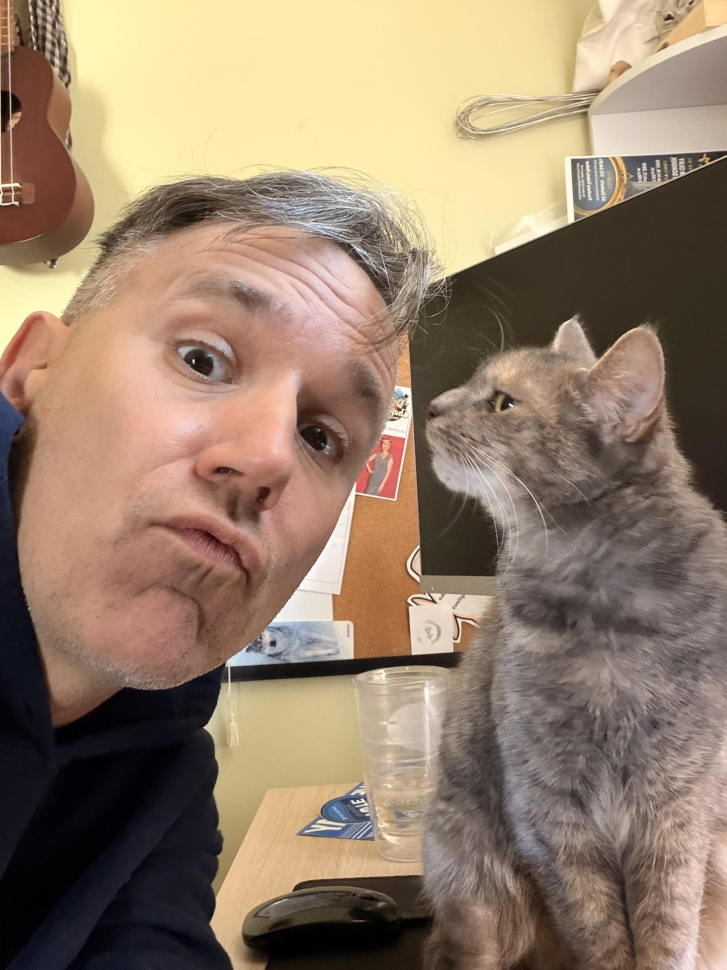 Bella (sweet kitty seeks quiet home)