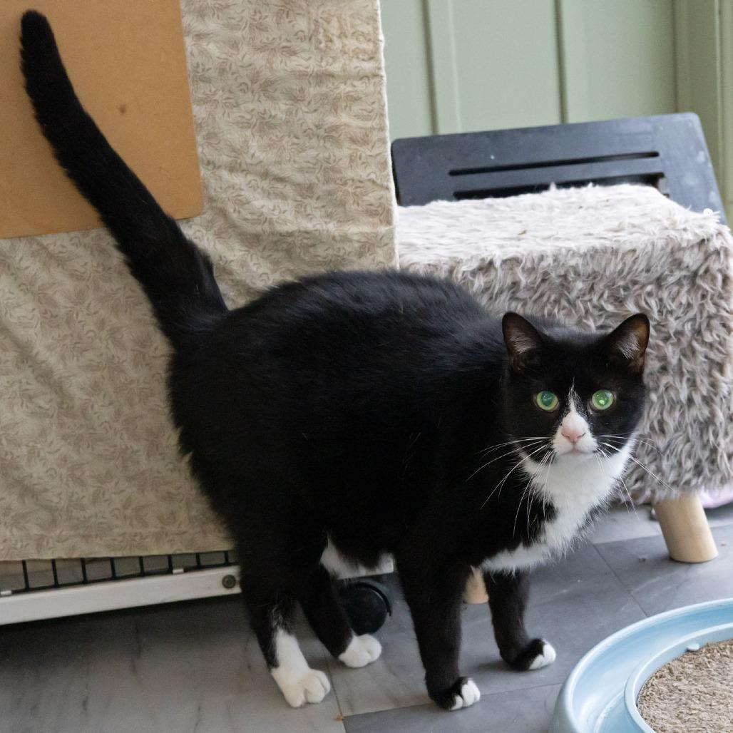 Sheena — thumbnail 4