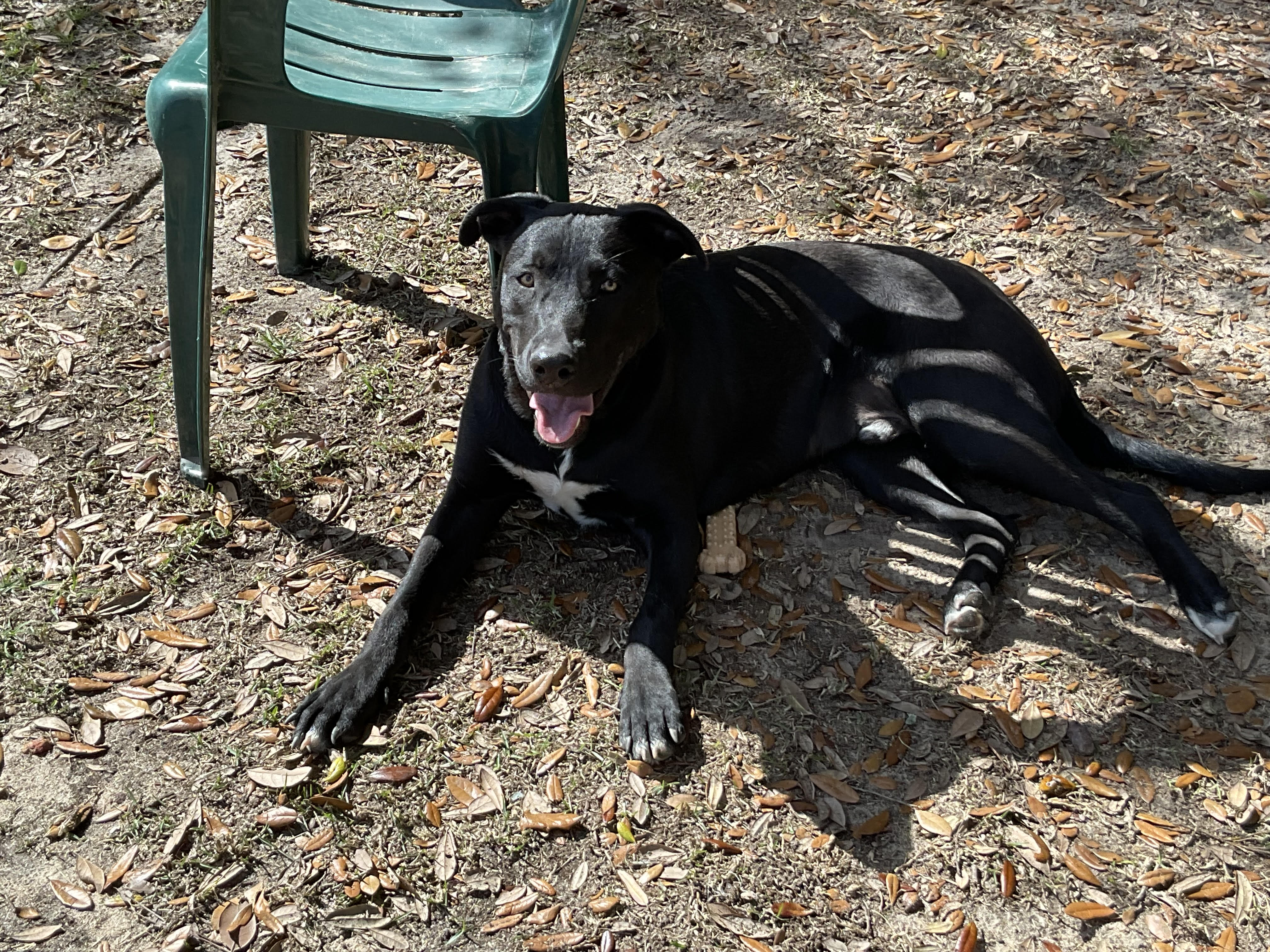 Buster photo 3