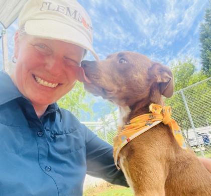 Buster Brown $25 Fostered, a Adoptable mixed breed in Seneca, SC image 1/3